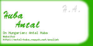 huba antal business card